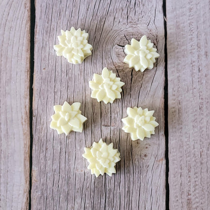 Melted Moments - Wax Melts